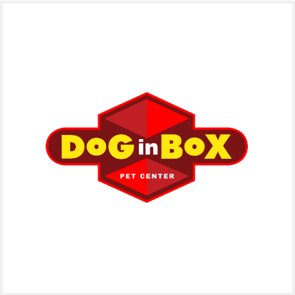 Dog in Box