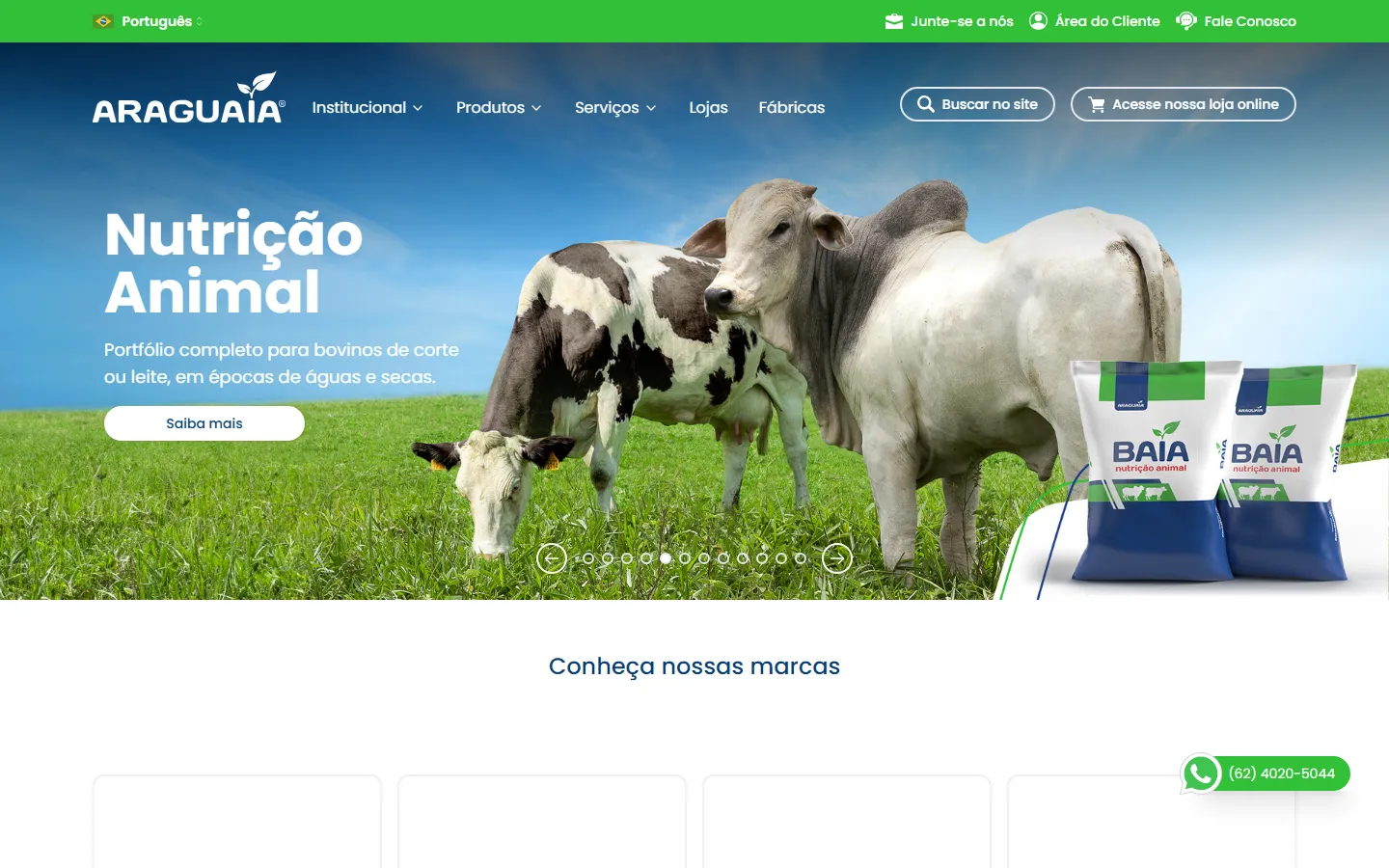 Case Araguaia: Site Institucional para Araguaia Agropecuaria
