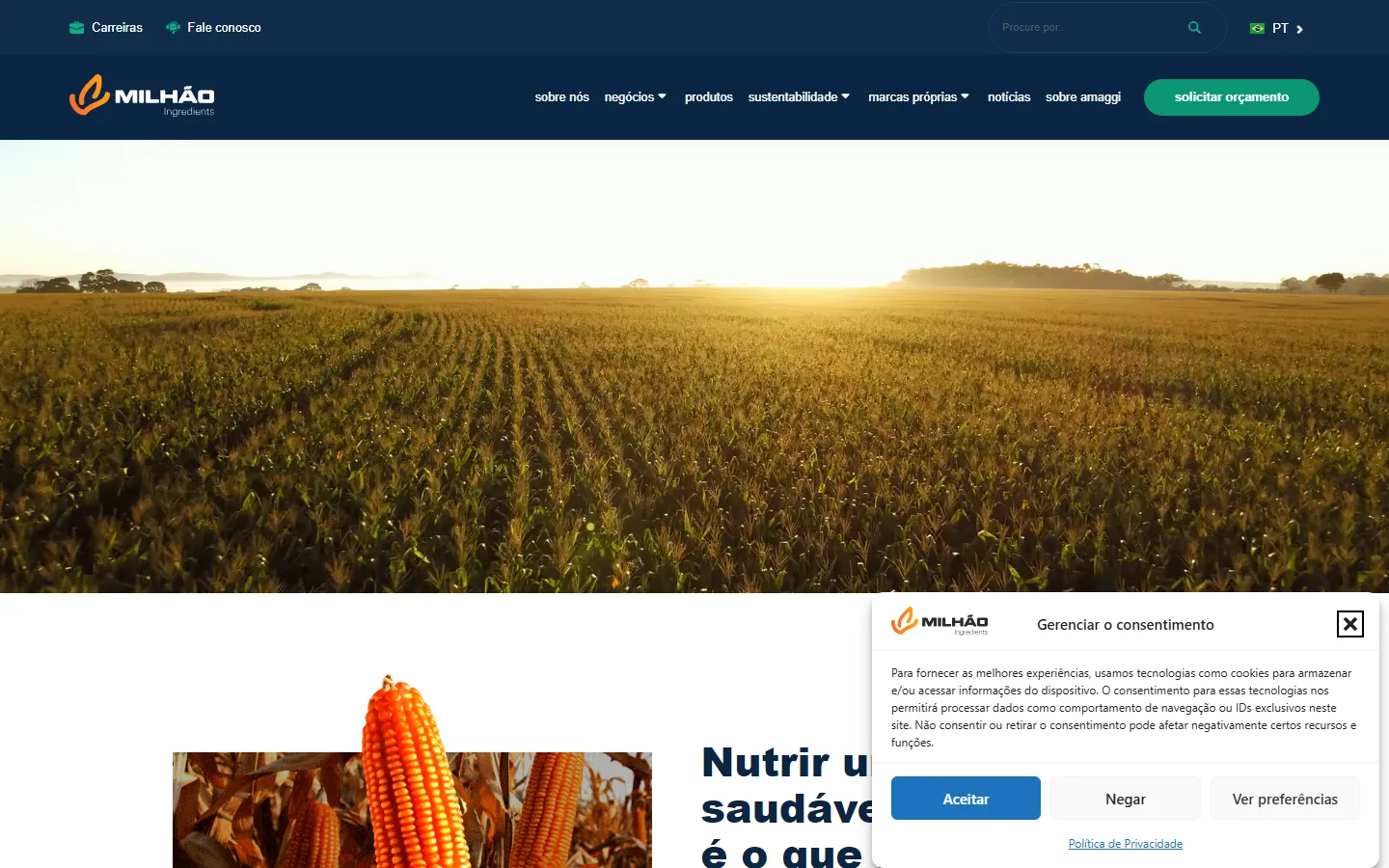 Site milhao.net desenvolvido pela ZIG para Milhão Ingredients